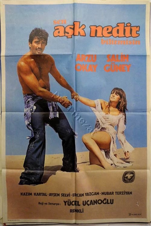 Poster for Sen Aşk Nedir Bilir Misin