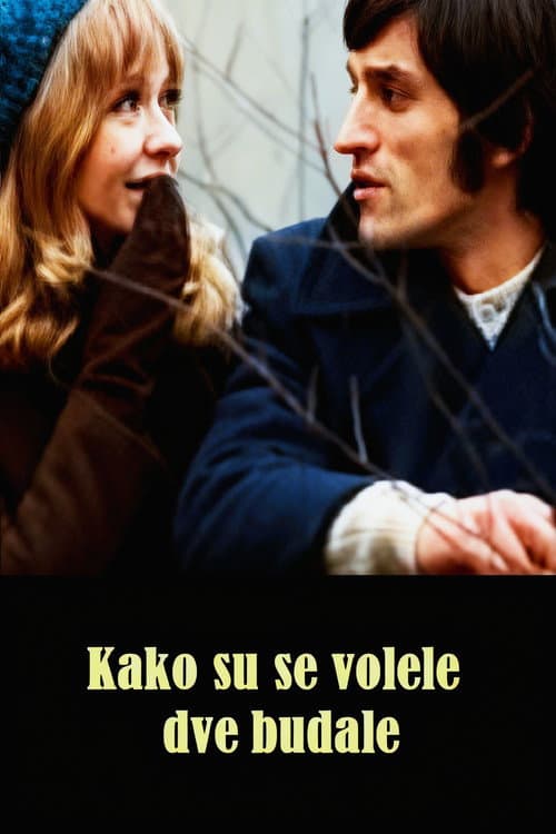 Poster for How the Two Fools Loved Each Other