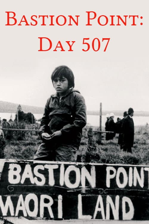 Poster for Bastion Point: Day 507