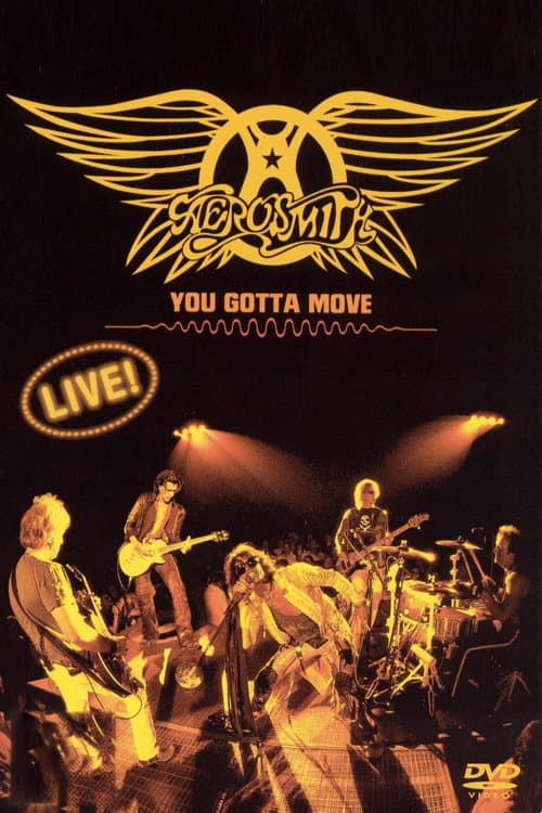 Poster for Aerosmith - You Gotta Move