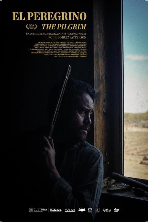 Poster for El peregrino