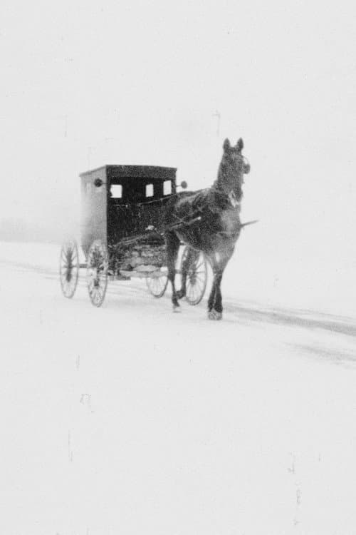 Poster for Hawkesville to Wallenstein