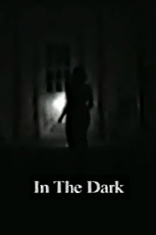 Poster for In the Dark