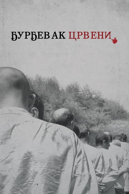 Poster for The Bloody Lilly of the Valley
