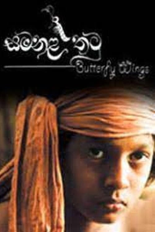 Poster for Butterfly Wings