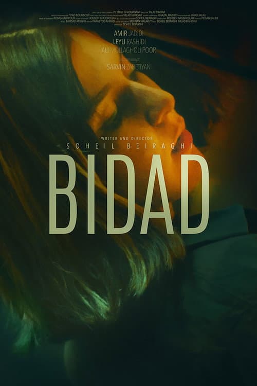 Poster for Outcry