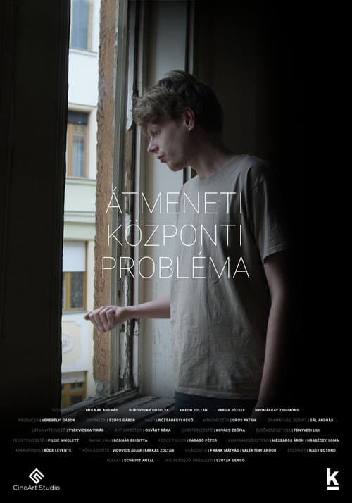 Poster for Temporary Central Problem