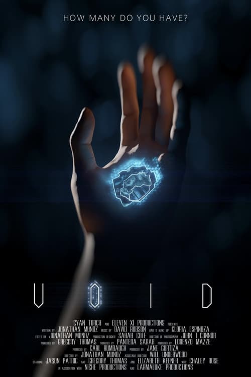 Poster for Void