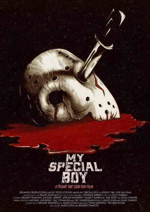 Poster for My Special Boy