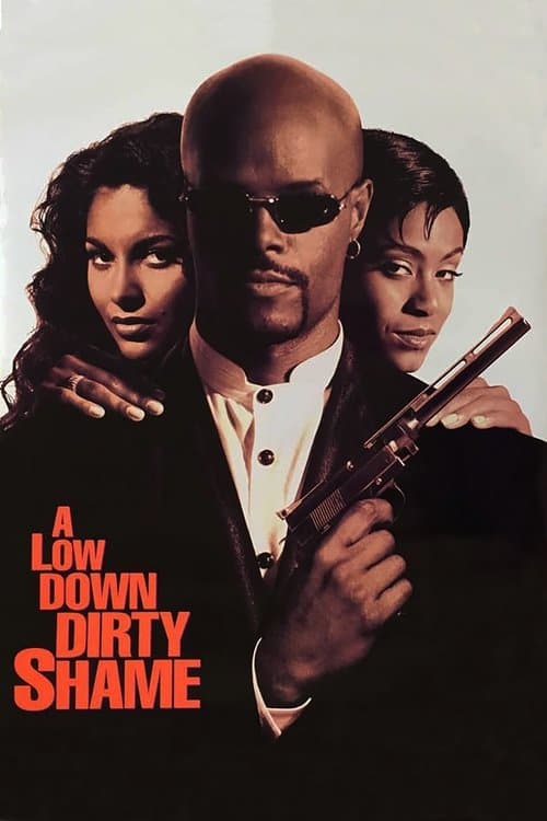 Постер до фільму «Зниклі мільйони»