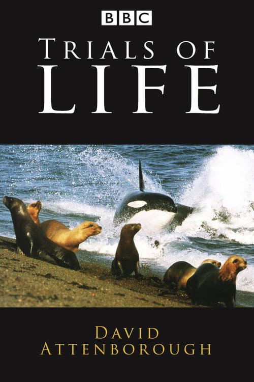 Poster for The Trials of Life