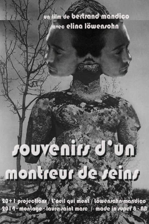 Poster for Memories of a Boobs Flasher