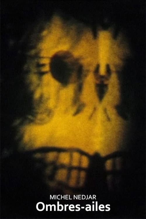 Poster for Ombres-ailes