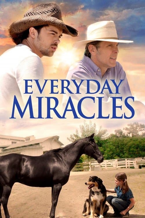 Poster for Everyday Miracles