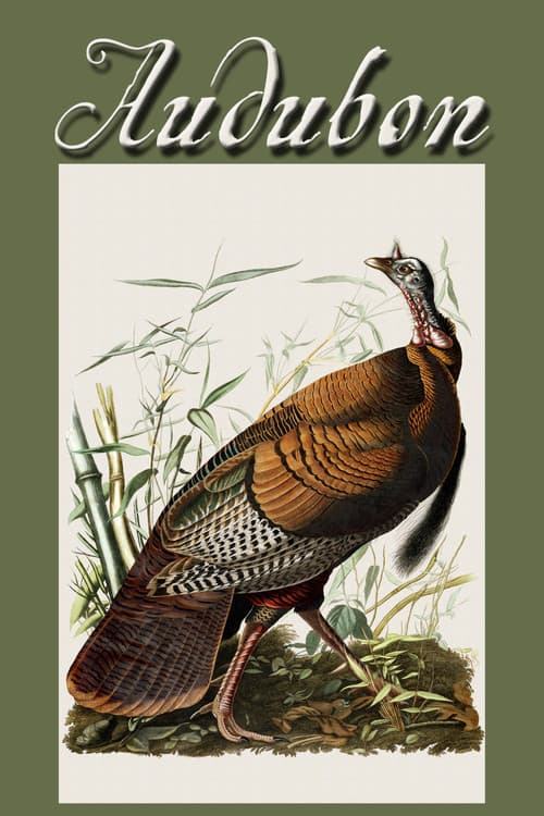 Poster for Audubon