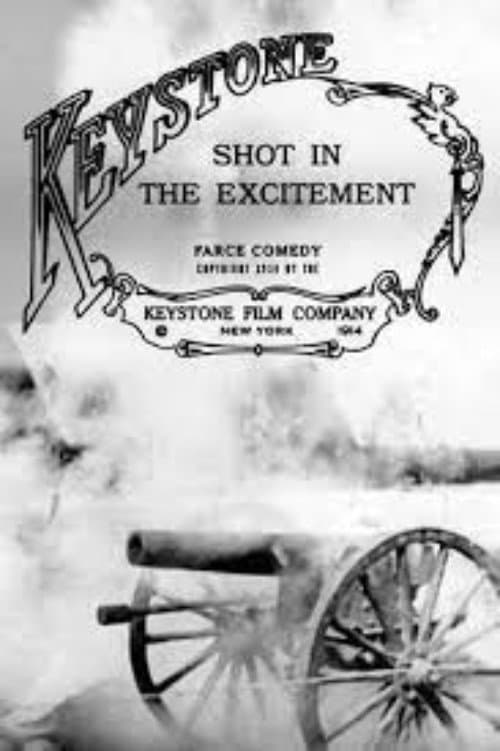 Poster for Shot in the Excitement
