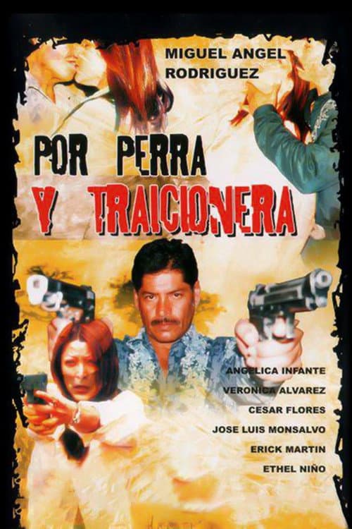 Poster for Por perra y traicionera
