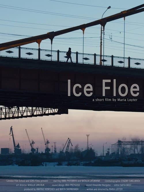 Poster for Ice Floe