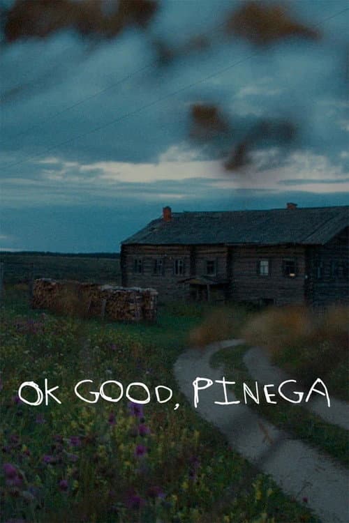 Poster for Ok good, Pinega