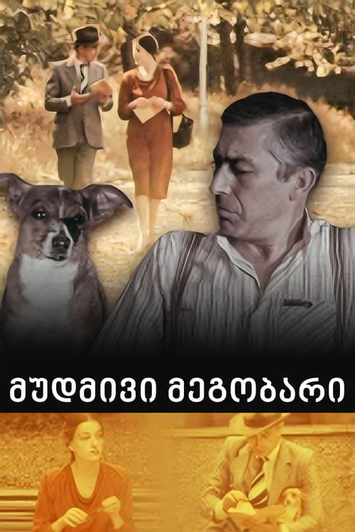 Poster for Till Next Time, Friend...