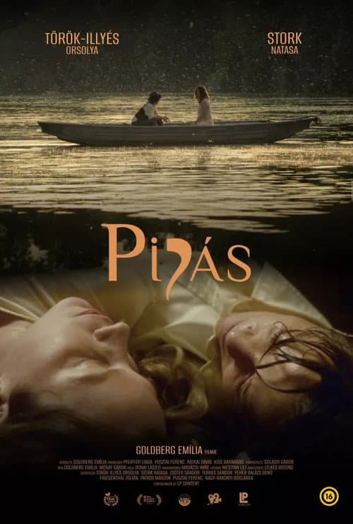 Poster for Mayflies