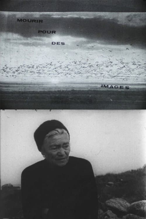 Poster for Mourir pour des images