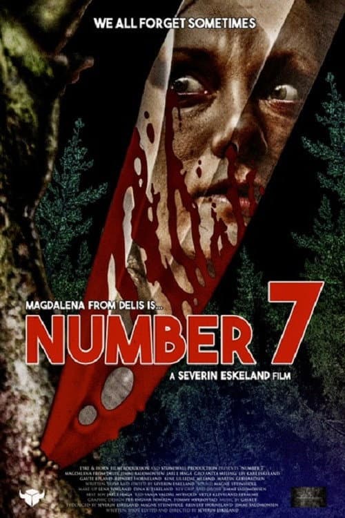 Poster for Number 7