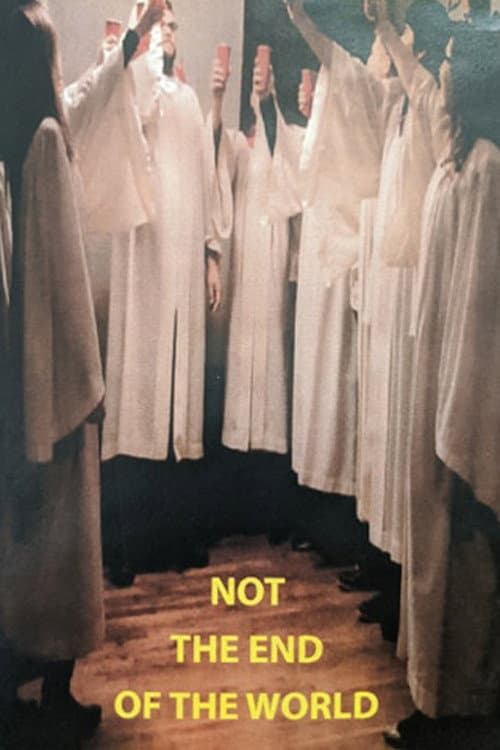 Poster for Not the End of the World