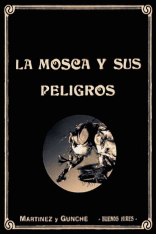 Poster for The Dangers of the Fly