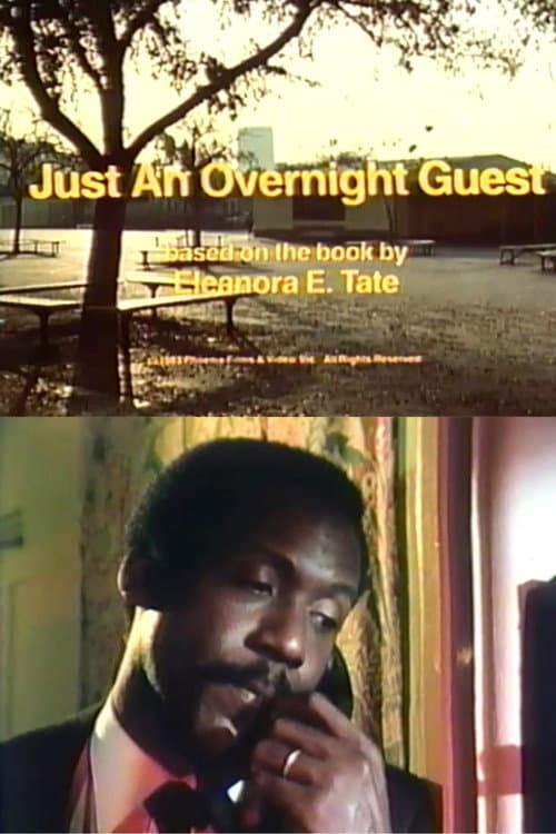 Poster for Just an Overnight Guest