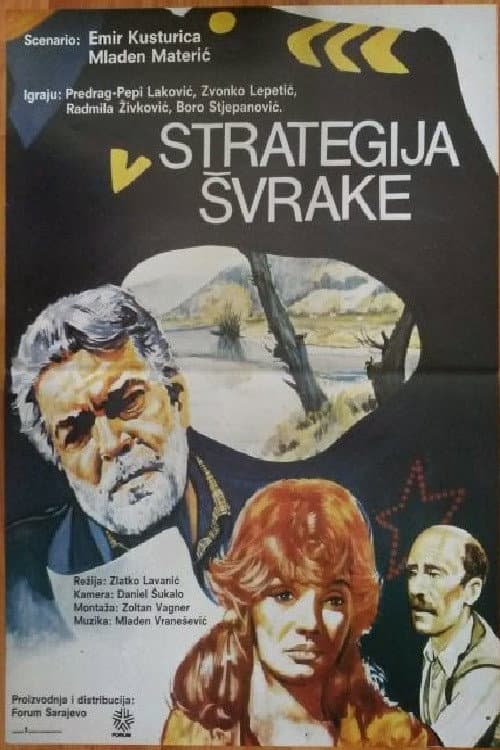 Poster for The Magpie Strategy