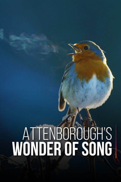 Постер до фільму «Attenborough's Wonder of Song»
