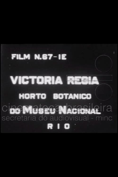 Постер до фільму «Victória Régia: Horto Botânico do Museu Nacional»