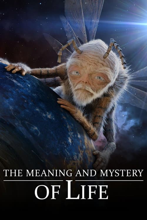 Постер до фільму «The Meaning and Mystery of Life»