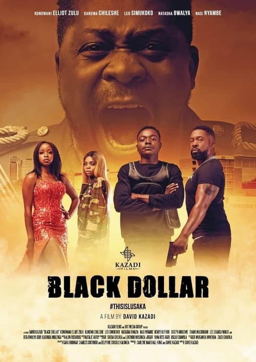 Poster for Black Dollar