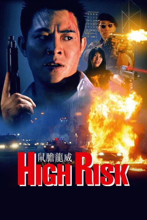 Poster for High Risk