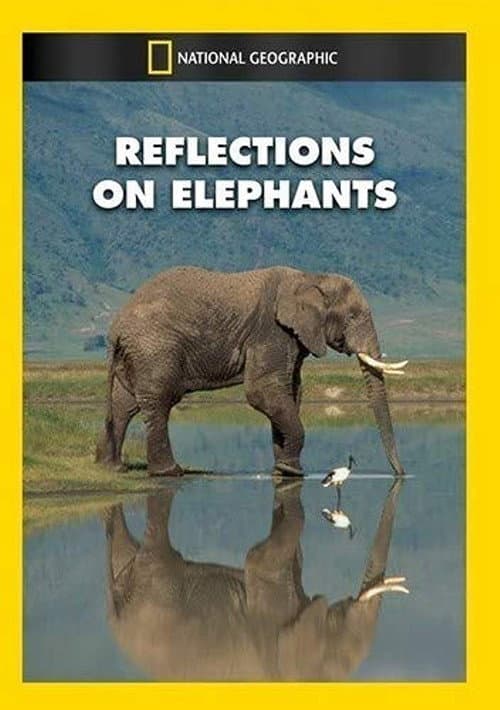 Poster for Reflections on Elephants