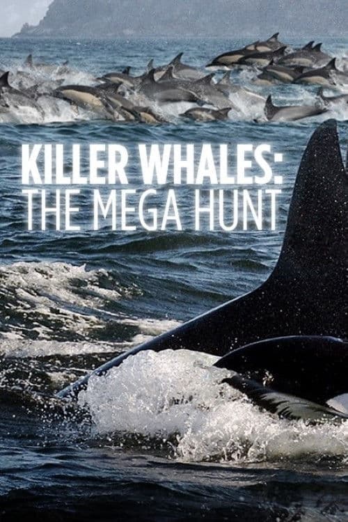 Poster for Killer Whales: the Mega Hunt
