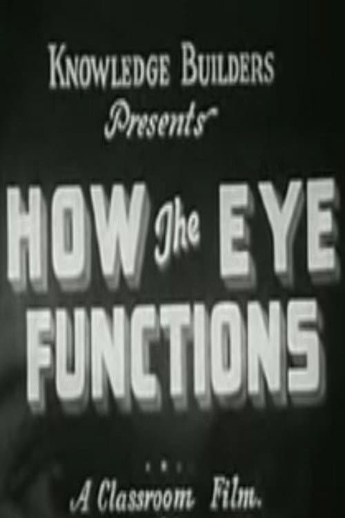 Poster for How the Eye Functions