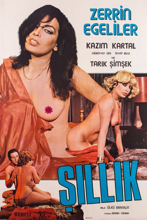 Poster for Şıllık