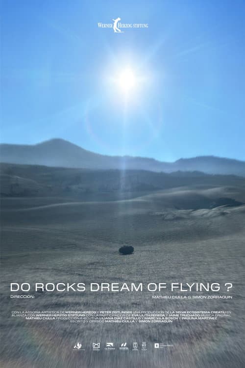 Poster for Do Rocks Dream of Flying ?