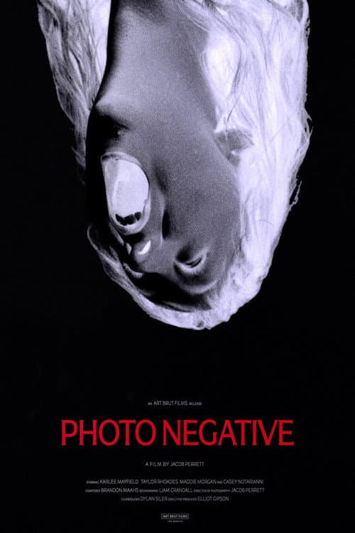 Poster for Photo Negative