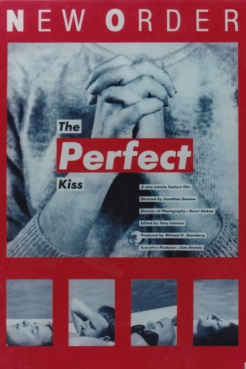 Poster for New Order: The Perfect Kiss