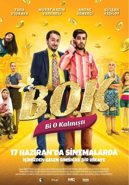 Poster for B.O.K.: Bi O Kalmıştı