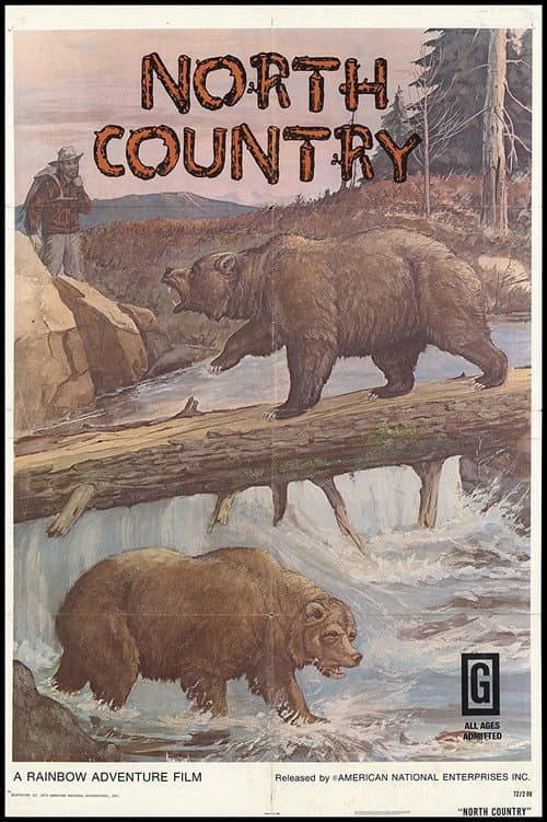 Poster for North Country