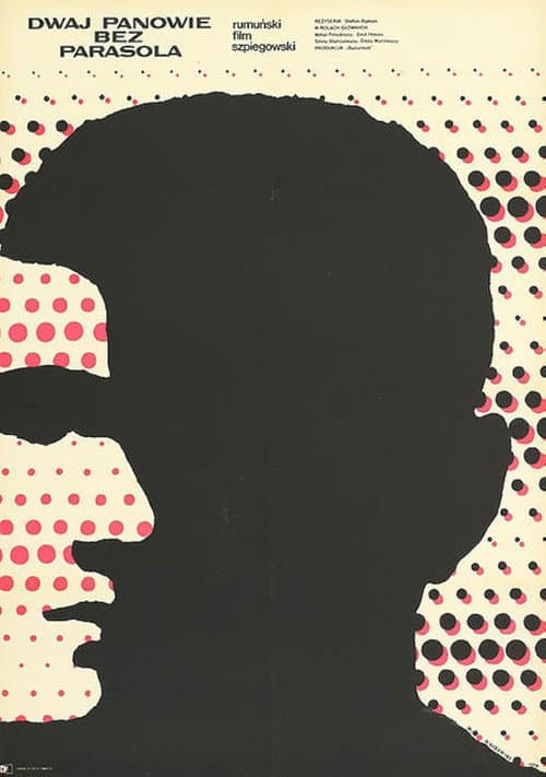 Poster for The Likeable Mister R.