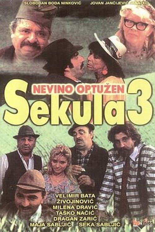 Poster for Sekula Innocent Accused