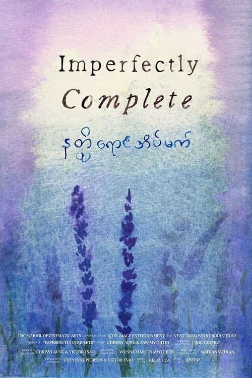 Poster for Imperfectly Complete