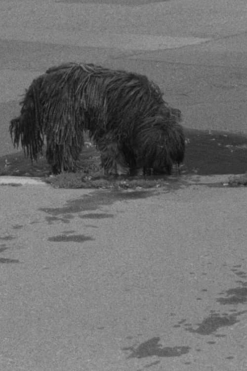 Poster for Puddles, I Don't Know