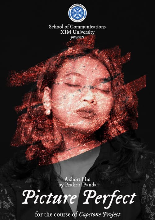 Poster for Picture Perfect